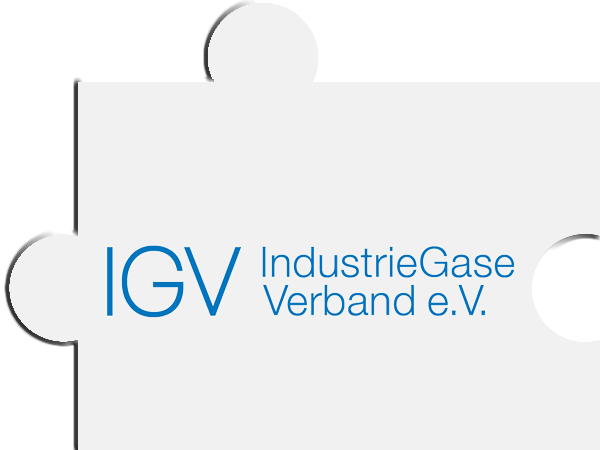 Logo IGV
